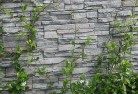 Kookyniegreen-walls-4.jpg; ?>