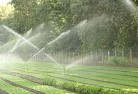 Kookynielandscaping-water-management-and-drainage-17.jpg; ?>