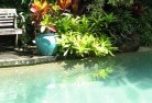 Kookynieswimming-pool-landscaping-3.jpg; ?>